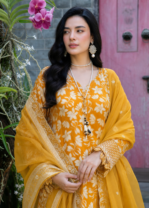 mahnoor-18